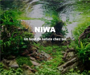 NIWA