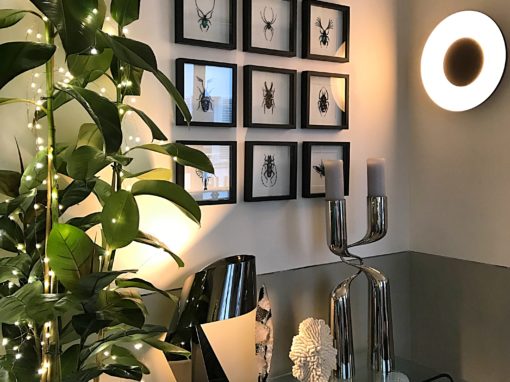 AtelierNoboru-pic-22-510x382